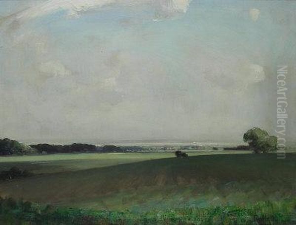 Lincolnshire Landscape - view 1