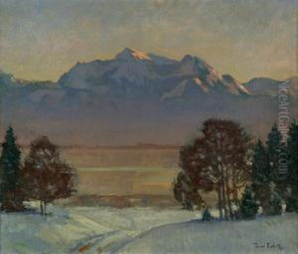 Sonnige Winterlandschaft Am Chiemsee - view 1