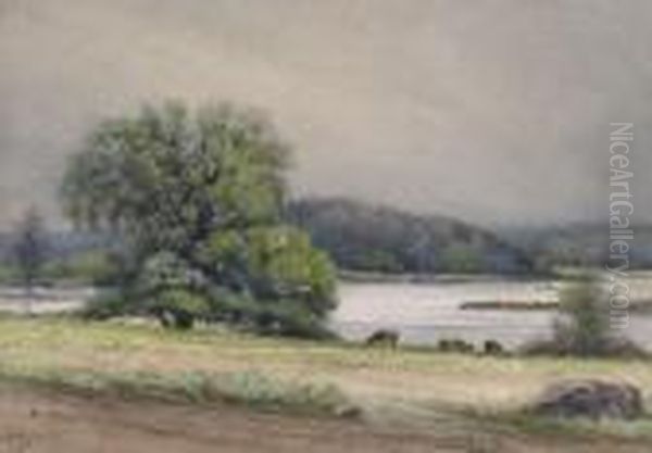 Cattle Grazing By A River - view 1