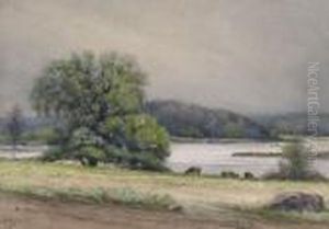 Cattle Grazing By A River Cattle Grazing By A River