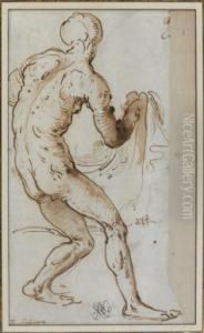 Figure D'homme Nu De Dos Tenant Untissu by Gerolamo Romanino