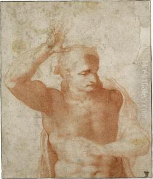 Study Of Christ - view 1