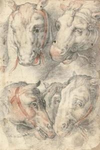 Five Studies Of A Horse's Head by Cristoforo Pomarancio (Roncalli)