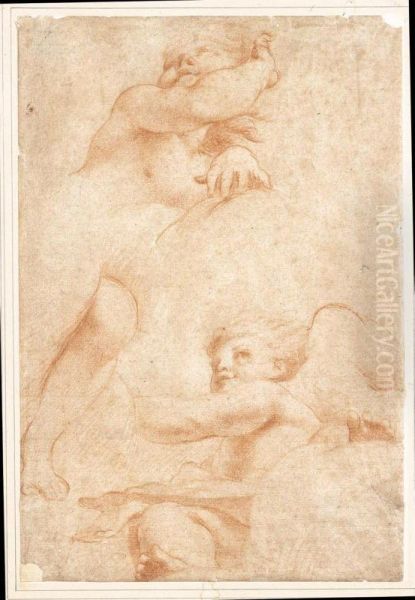Studi Dal Correggio: Due Putti - view 1