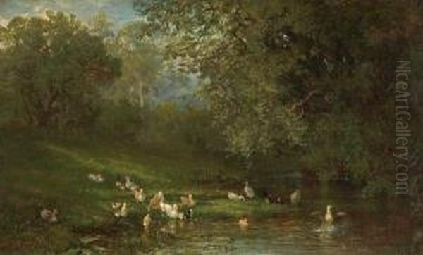 Ducks By A Pond - view 1