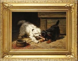 Deux Chiens Se Disputant Un Os
