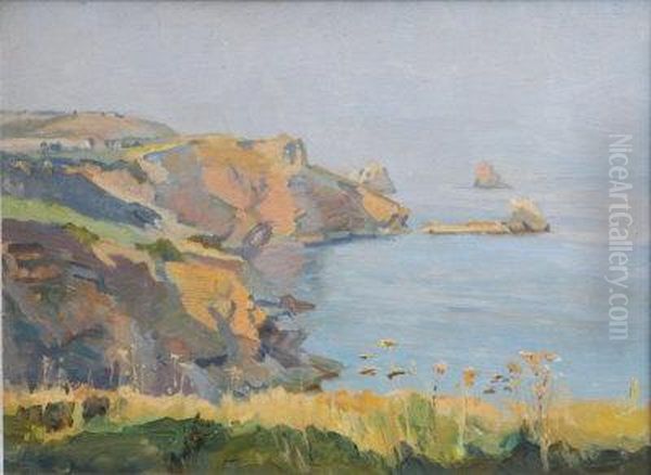 Coastline. - view 1