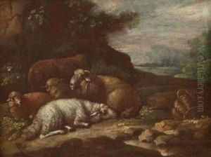 Schafe In Einer Felsennische Ruhend by Johan Heinrich Roos