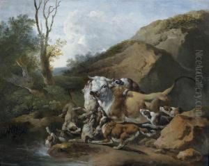 Taureau Attaque Par Des Chiens Taureau Attaque Par Des Chiens