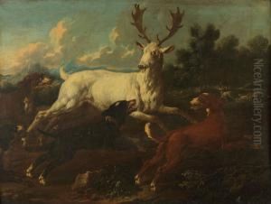 Deux Chiens Chassant Un Daim Albinos by Johann Melchior Roos