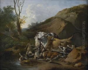 Chasse Au Taureau by Johann Melchior Roos