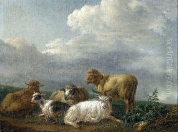 Ziegen Und Schafe - view 1