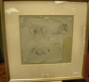 Studies Of A Foal by George Thomas Rope