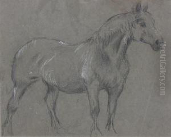 Study Of A Farm Horse; A Horse's Head - view 1