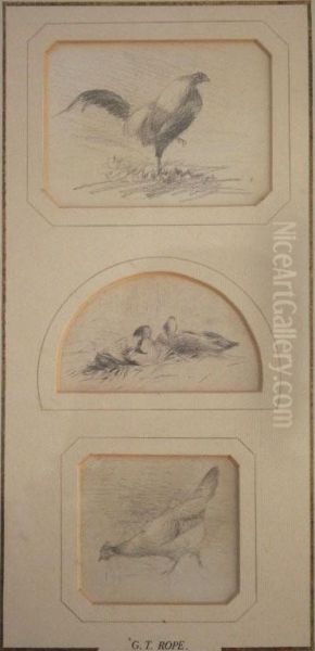 Studies Of Poultry (8); And Ducks (1) - view 1