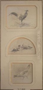 Studies Of Poultry (8); And Ducks (1) by George Thomas Rope