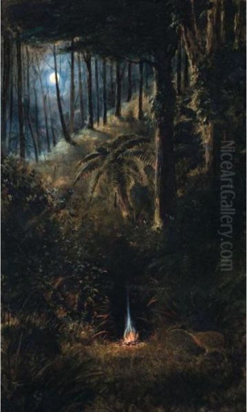 Kiwi Hunting - view 1
