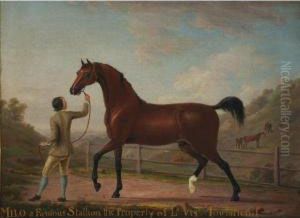 Milo, A Famous Stallion The Property Of Viscount Townsend by Richard Roper