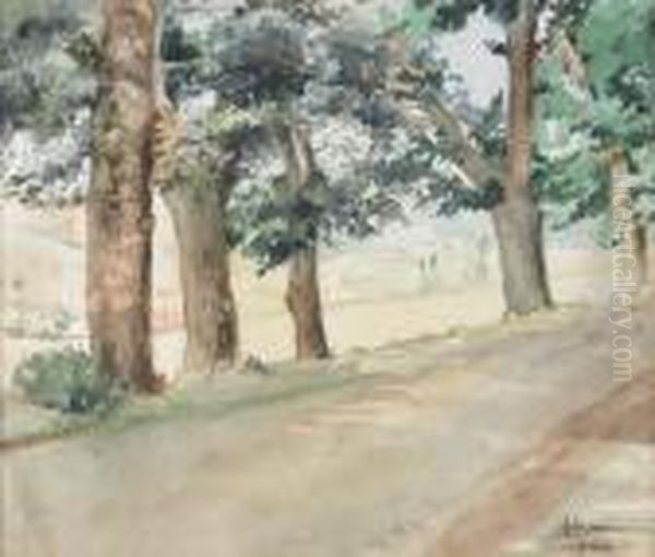 Paisagem Com Caminho - view 1