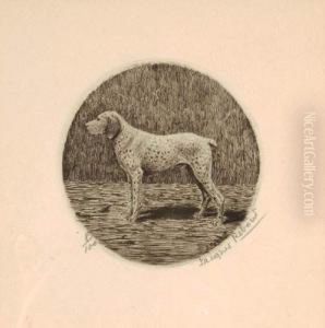 Braque Du Bourbonnais