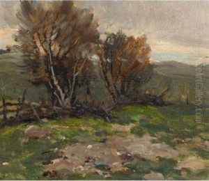 Countryside