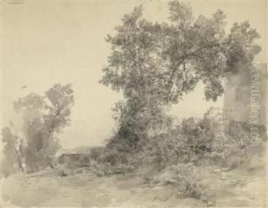 Pappel by Ludwig Rosch