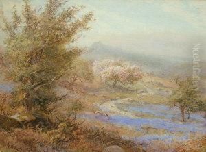 Dartmoornear Hayton"