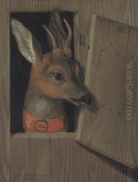 A Deer Looking Out Of A Stable Stall, In A Red Collar - view 1