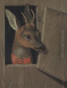 A Deer Looking Out Of A Stable Stall, In A Red Collar by Franz Rosel Von Rosenhof