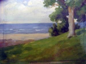 Landscape Landscape
