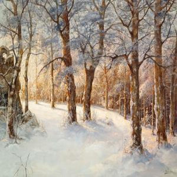 Sunny Day In The Woods, Winter - view 1