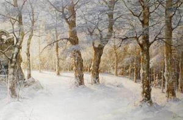 A Winter Woodland - view 1