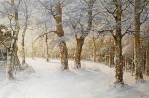 A Winter Woodland A Winter Woodland