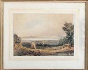 Panoramic Landscape With A Cart On A Country Road In Theforeground Panoramic Landscape With A Cart On A Country Road In Theforeground
