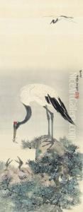 Crane Feeding Chicks In Nest On Pine Branch