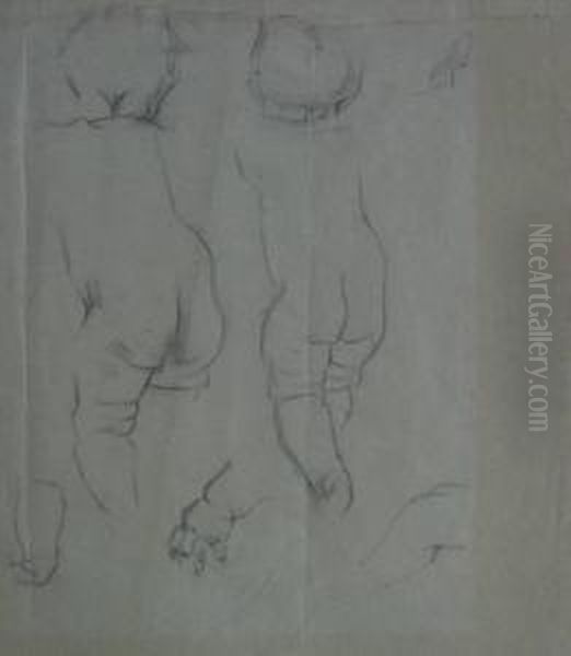 Kinder-ruckenstudien - view 1