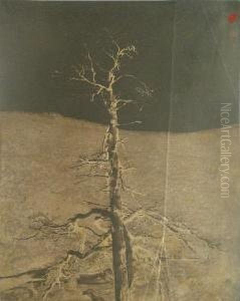 Study Of A Tree In Winter - view 1