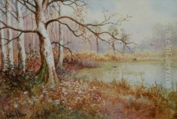 November In The Dukeries - view 1