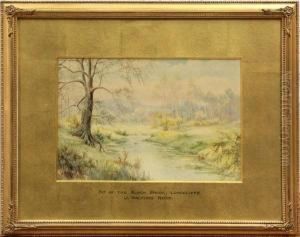 ''bit Of The Black Brook, 
Longcliffe''