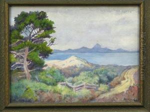 Landscape With Dunes And Ocean - view 1