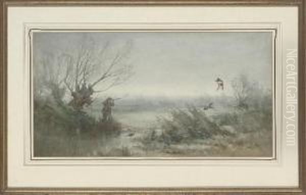 Duck Shooting - view 1