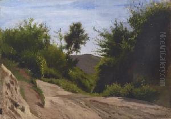 Paesaggio - view 1
