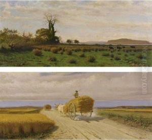 Campi Flegrei, Paesaggio Con Bufali by Federico Rossano