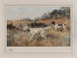 Two Setters In A Field by Percival Leonard Rosseau