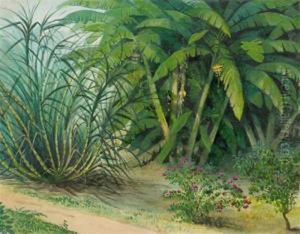 Tropical Garden. - view 1