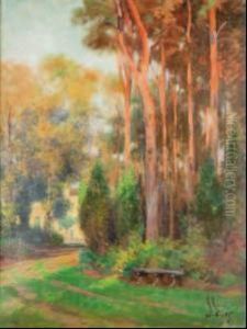 Paesaggio