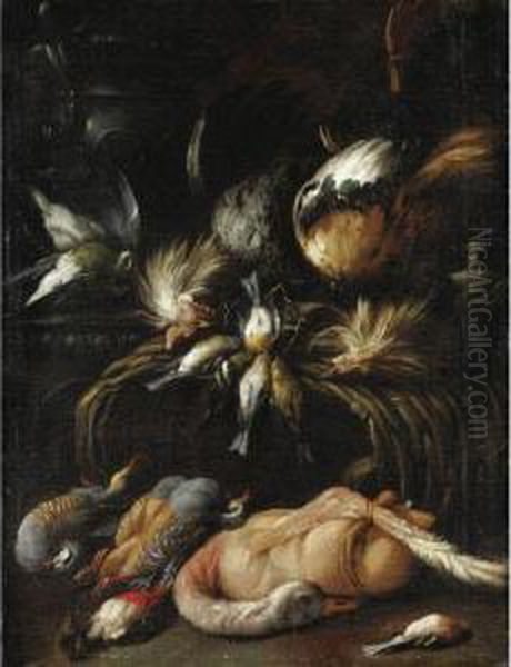 Natura Morta Con Volatili - view 1