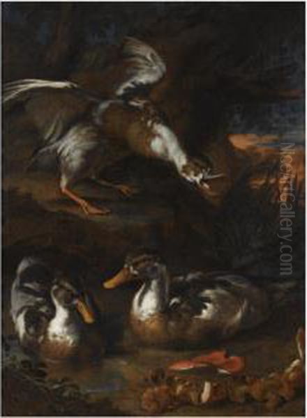 Three Ducks In A Wooded Landscape, Wild Mushrooms In Theforeground - view 1
