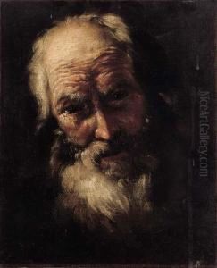 Testa Di Vecchio