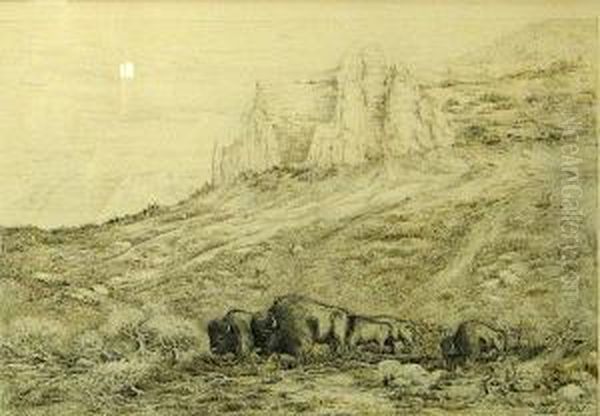 Grazing Buffalo - view 1